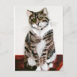 Cartão Postal Gato de Retrato de Pet de Gatinho Cinto