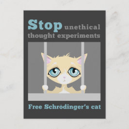 Cartão Postal Gato de Schrodinger Livre