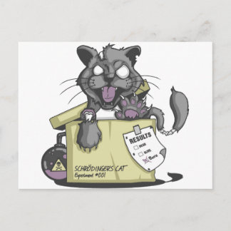 Cartão Postal Gato de Schrodinger - Novo