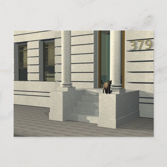 Cartão Postal Gato de verão (Frente)