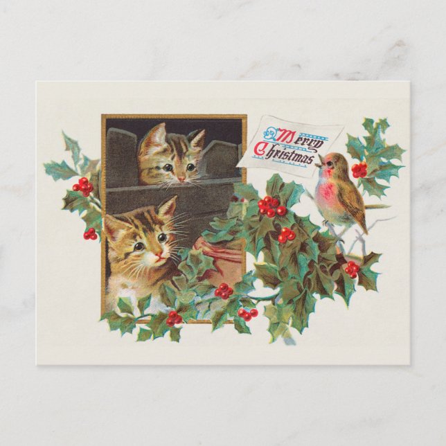 Cartão Postal Gato de Vintage de Natal (Frente)