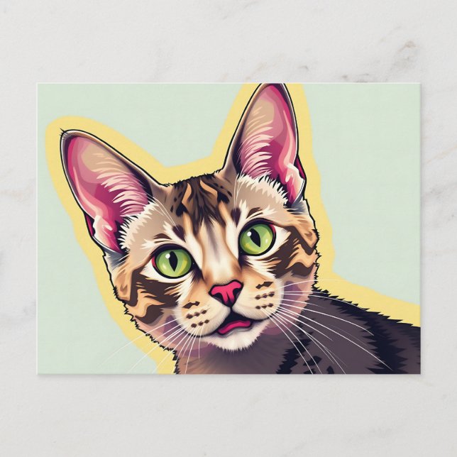 Cartão Postal Gato Devon Rex Moderno Ousado e Colorido (Frente)