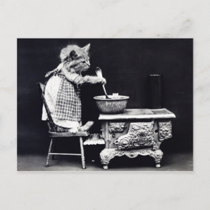 Cartão Postal Gato do Cartão-postal Vintage no Cozinhar de vest