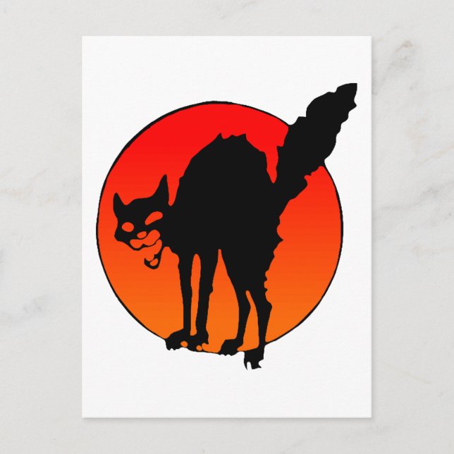 Cartão Postal Gato do sindicalista (Frente)