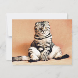 Cartão Postal Gato Dobrado Escocês Sentado em um Posto de Sofa