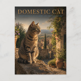 Cartão Postal Gato Doméstico Jardim Pátio ANIMAIS