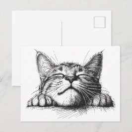 Cartão Postal Gato dormindo