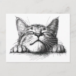 Cartão Postal Gato dormindo