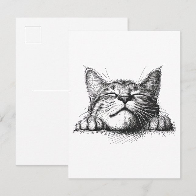 Cartão Postal Gato dormindo (Frente/Verso)