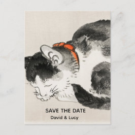 Cartão Postal Gato Dormindo