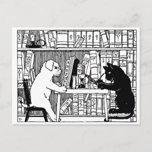 Cartão Postal Gato e Cão na Biblioteca
