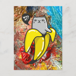 Cartão Postal Gato e cores