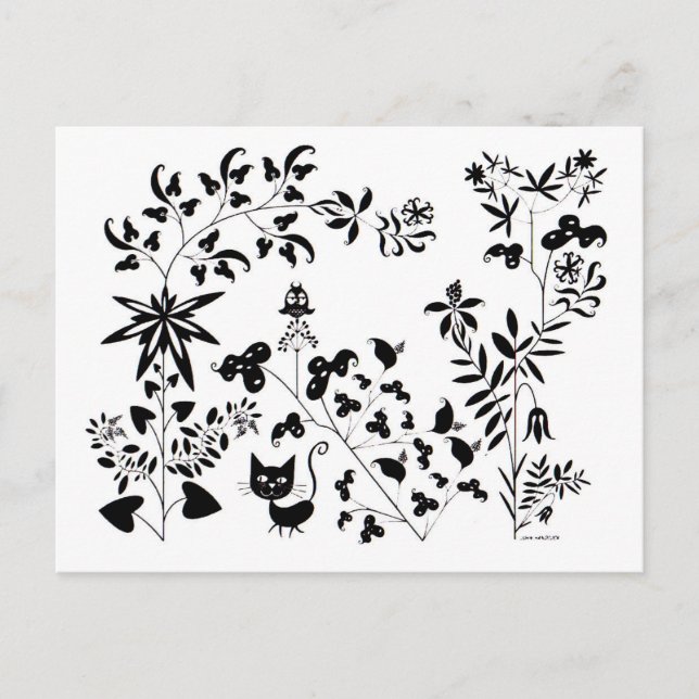Cartão Postal Gato e Coruja (Frente)