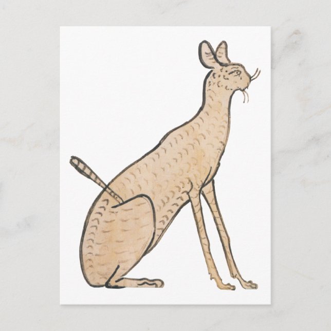 Cartão Postal Gato Egípcio (Frente)
