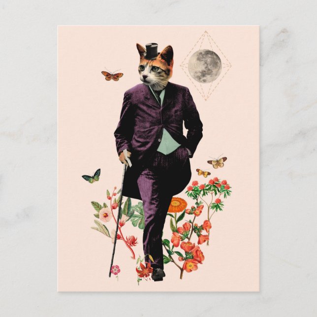 Cartão Postal Gato Elegante Engraçado (Frente)