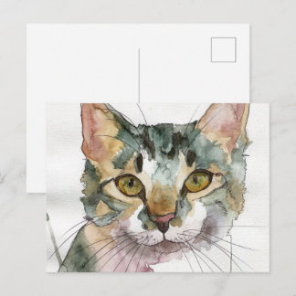 Cartão Postal Gato em Aquarela