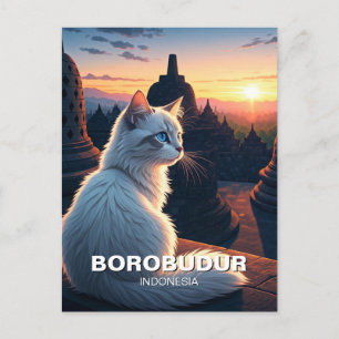 Cartão Postal Gato em Borobudur Indonesia Sunset