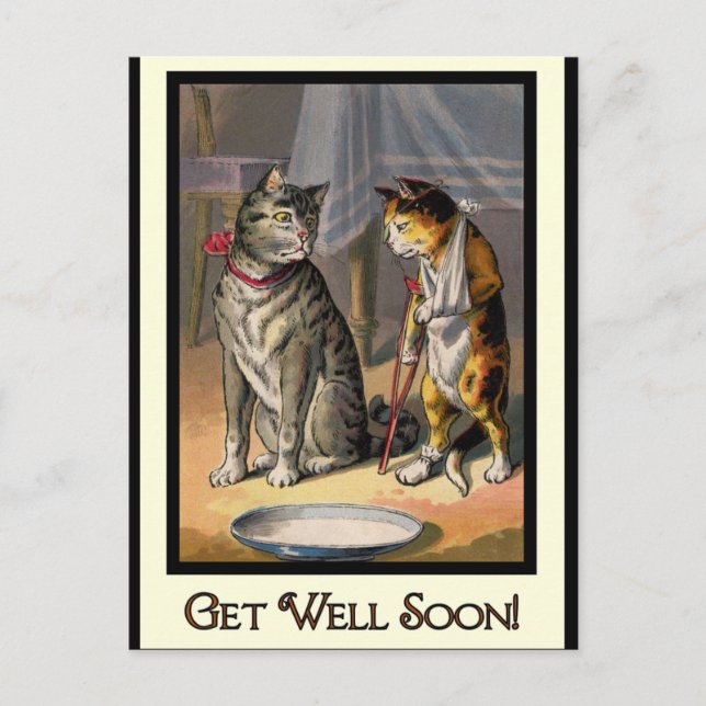 Cartão Postal Gato em Cruzes (Frente)