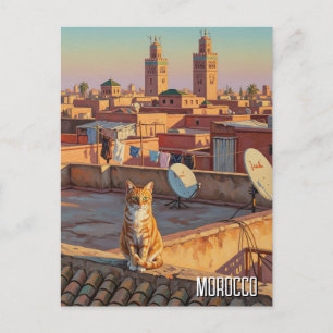 Cartão Postal Gato em Marraquexe Viagem no Marrocos