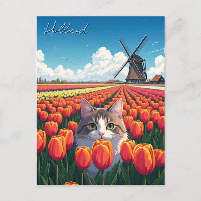 Cartão Postal Gato em Tulip Fields Holanda (Frente)