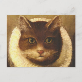Cartão Postal Gato em uma gola arte vitoriana fofa pintura vinta