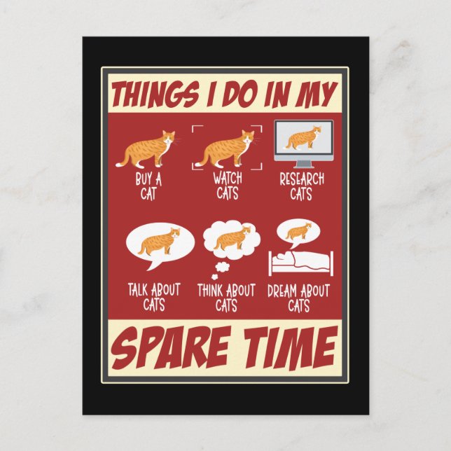 Cartão Postal Gato Engraçado Adorava Gato Humor Gato (Frente)