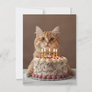 Cartão Postal Gato engraçado com bolo de aniversário