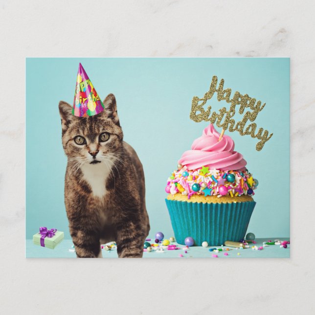 Cartão Postal Gato engraçado de aniversário com bolo (Frente)