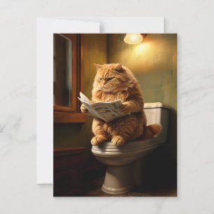 Cartão Postal Gato Engraçado no Banheiro Quirky Bathroom Humor