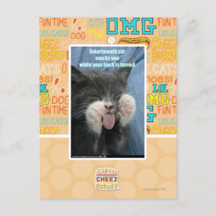 Cartão Postal Gato esperto