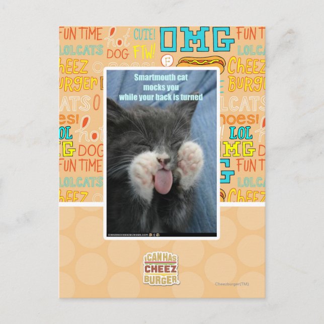 Cartão Postal Gato esperto (Frente)