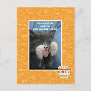 Cartão Postal Gato esperto