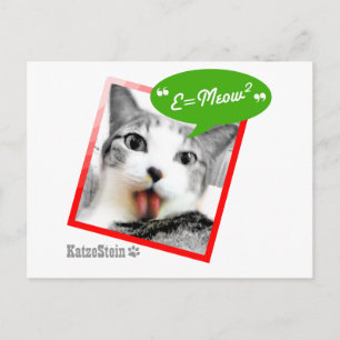Cartão Postal gato esperto