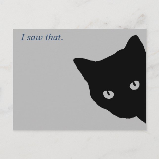 Cartão Postal Gato Espião (Frente)