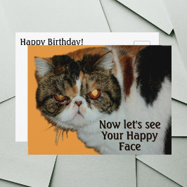 Cartão Postal Gato Exótico de Cabelo Curto Persa Mal-humorado Re