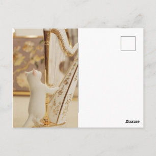Cartão postal - Gato Fantasioso Harpista
