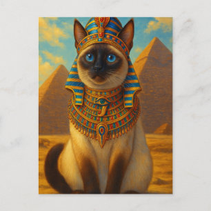 Cartão Postal Gato Faraó Egípcio Real no Deserto