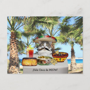 Cartão Postal Gato Feliz Cinco de Mayo