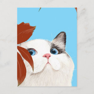 Cartão Postal Gato Fofo
