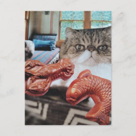 Cartão Postal Gato Fofo Com Lagosta e Peixe Colagem