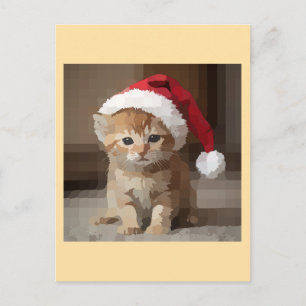 Cartão Postal Gato fofo em noite de Natal.