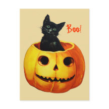 Gato Fofo em Postcard Vintage de Halloween de Abób