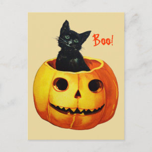 Cartão Postal Gato Fofo em Postcard Vintage de Halloween de Abób