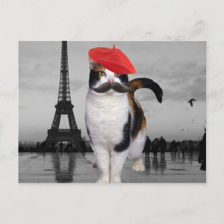 Cartão Postal Gato Francês em Paris