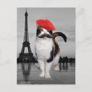 Cartão Postal Gato Francês em Paris