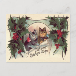 Cartão Postal Gato gatinho azevinho