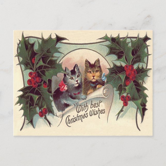 Cartão Postal Gato gatinho azevinho (Frente)