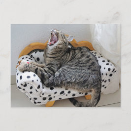 Cartão Postal Gato Gatinho Cansado Bocejando Cute Diversão Cartã
