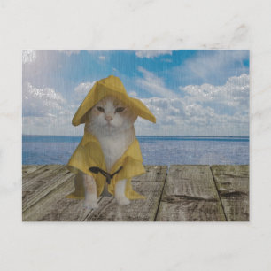 Cartão Postal Gato/Gatinho Engraçado com Corante Amarelo