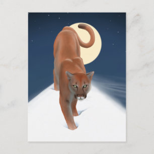 Cartão Postal Gato Grande Na Neve De Inverno - Leão De Montanha